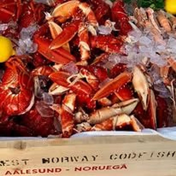 Bilde 11 av 20 i jobbannonse-galleriet