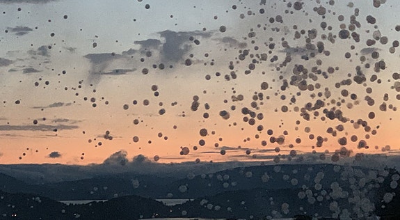 Bilde fra arbeidsgiver