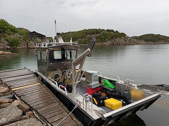 MS Boat S610WT (cabin v.5) 4 of 17