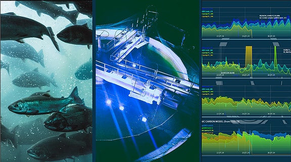 Bilde 1 av 1 i jobbannonse-galleriet