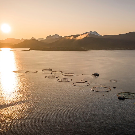 M Vest Water AS logo