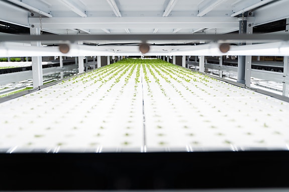 Bilde 6 av 9 i jobbannonse-galleriet