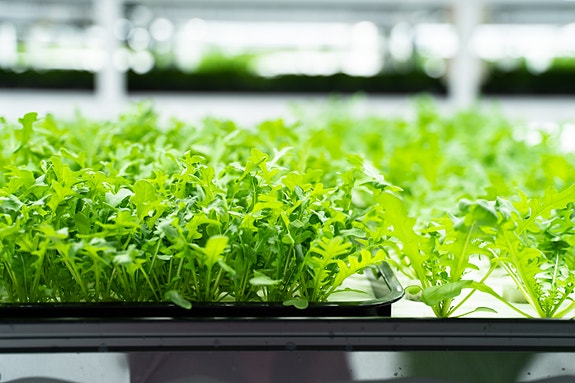 Bilde 5 av 9 i jobbannonse-galleriet