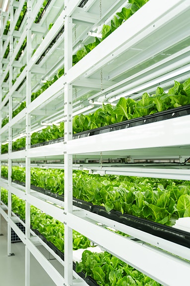 Bilde 4 av 9 i jobbannonse-galleriet