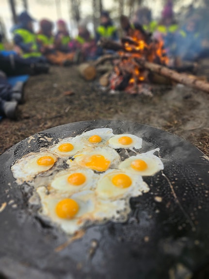 Bilde 5 av 6 i jobbannonse-galleriet