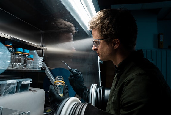 Bilde 1 av 3 i jobbannonse-galleriet