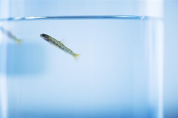 Bilde fra arbeidsgiver