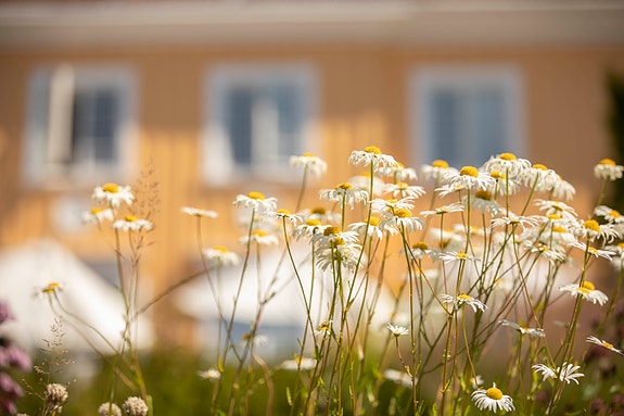 Bilde 1 av 3 i jobbannonse-galleriet