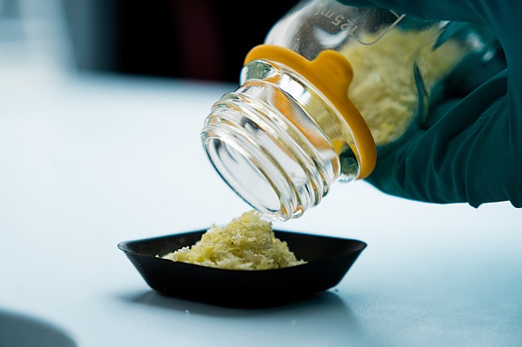 Bilde 3 av 3 i jobbannonse-galleriet