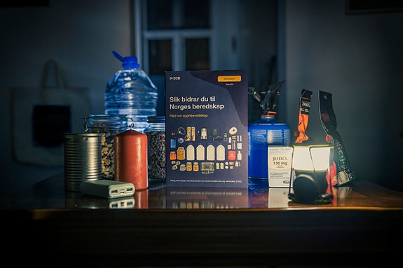 Den som ansettes skal blant annet bidra til å styrke samhandling i totalforsvaret, mellom statlige aktører med beredskapsoppdrag, og mellom aktører på forskjellige nivåer i totalberedskapen.