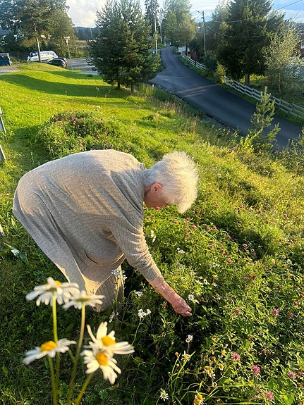 Bilde 4 av 5 i jobbannonse-galleriet