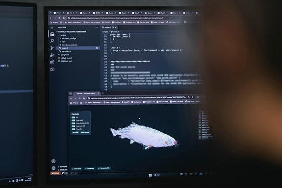 Bilde 2 av 10 i jobbannonse-galleriet