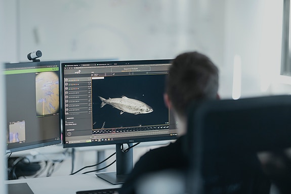 Bilde 5 av 10 i jobbannonse-galleriet