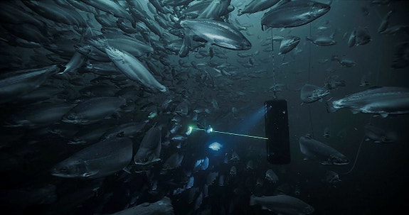 Bilde 1 av 10 i jobbannonse-galleriet