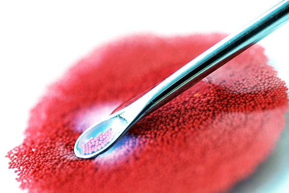 Bilde 1 av 3 i jobbannonse-galleriet