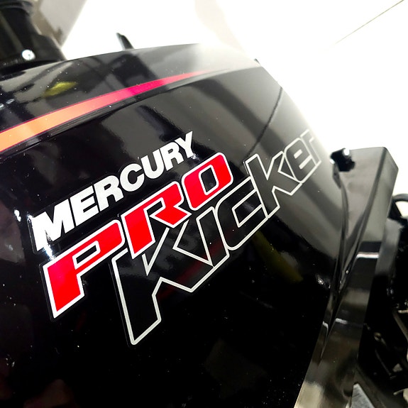 Mercury F 15 ELPT EFI Pro Kicker - Presisjonsstyrt Dorging 4 of 13