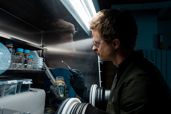 Bilde 1 av 4 i jobbannonse-galleriet