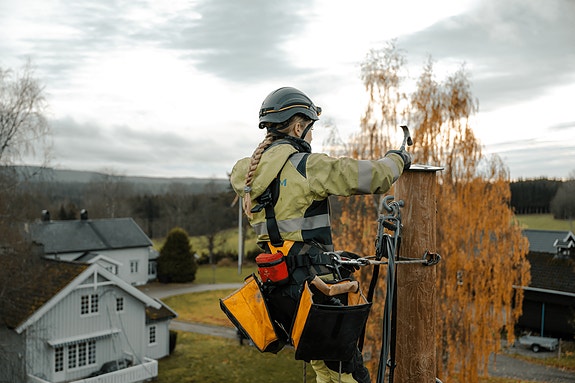 Bilde 3 av 3 i jobbannonse-galleriet