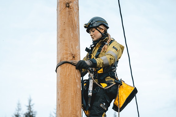 Bilde 1 av 3 i jobbannonse-galleriet