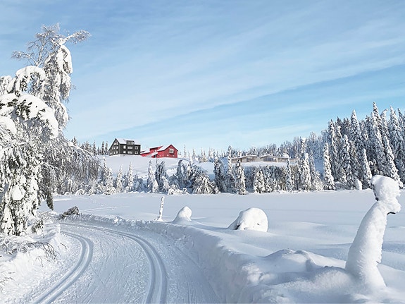 Bilde 1 av 3 i jobbannonse-galleriet