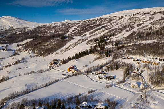 Bilde 1 av 4 i jobbannonse-galleriet