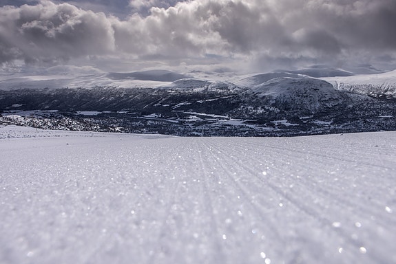 Bilde fra arbeidsgiver