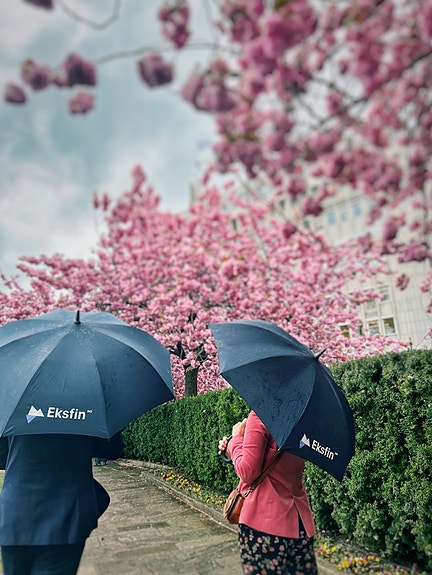 Bilde 3 av 3 i jobbannonse-galleriet