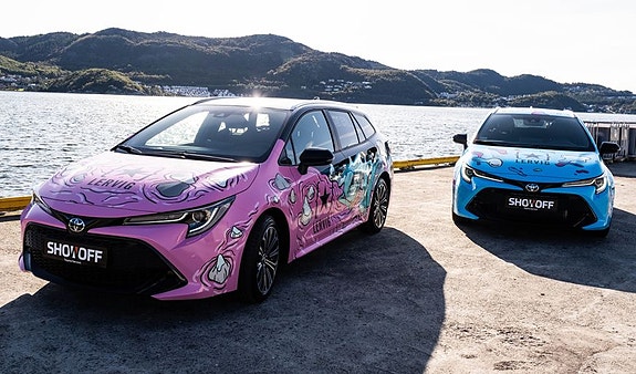 Bilde 3 av 3 i jobbannonse-galleriet