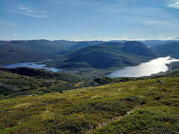 Bilde 2 av 5 i jobbannonse-galleriet