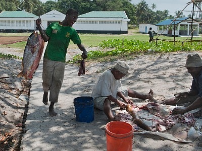Bilde 1 av 1 i jobbannonse-galleriet