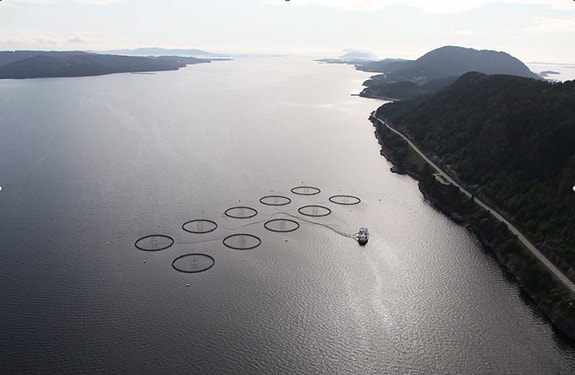 Bilde 4 av 5 i jobbannonse-galleriet