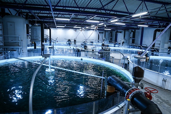 Bilde 5 av 5 i jobbannonse-galleriet