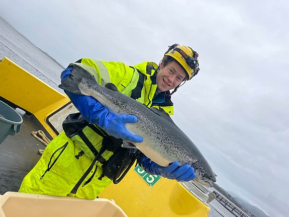 Bilde 2 av 5 i jobbannonse-galleriet