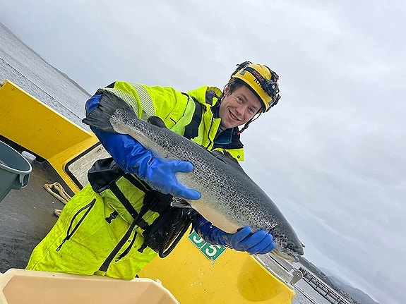 Bilde 3 av 5 i jobbannonse-galleriet