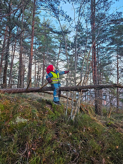 Vi trenger ikke lekeapparater - naturen gir alt vi trenger!