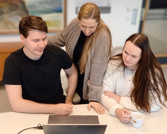 Bilde 1 av 3 i jobbannonse-galleriet