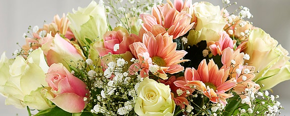 Bilde 1 av 1 i jobbannonse-galleriet