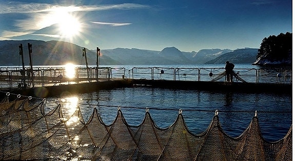 Bilde 4 av 6 i jobbannonse-galleriet