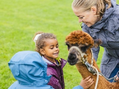Bilde 1 av 1 i jobbannonse-galleriet