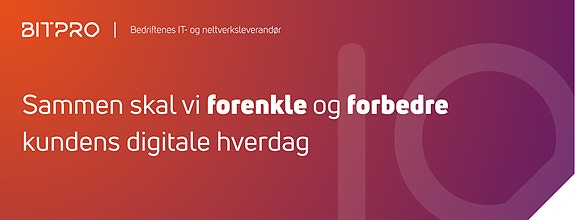 Bilde fra arbeidsgiver