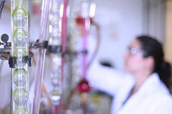 Du får samhandle med spesialister og andre nøkkelpersponer, både i Norge og internasjonalt