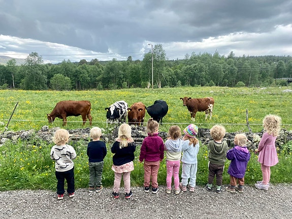 Bilde 2 av 4 i jobbannonse-galleriet