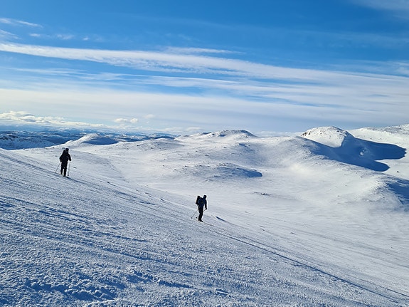 Bilde 1 av 2 i jobbannonse-galleriet