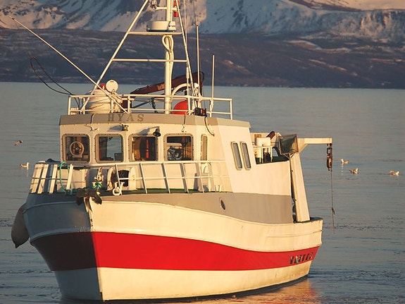 Fiskefartøyet Hyas LK2586 for salg.