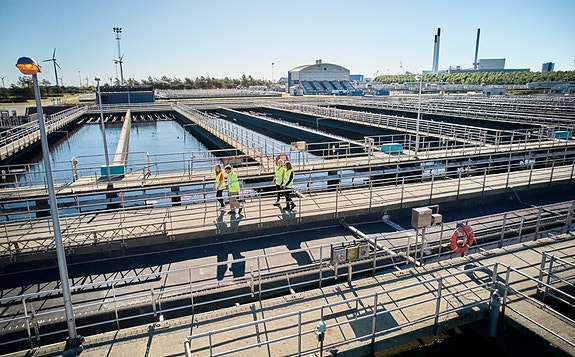 Bilde 2 av 3 i jobbannonse-galleriet