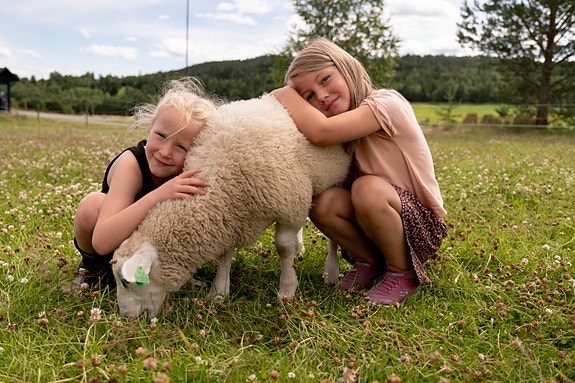 Bilde 2 av 5 i jobbannonse-galleriet