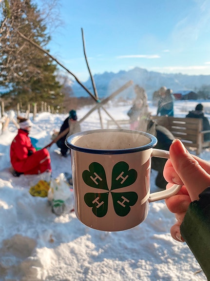 Bilde 5 av 5 i jobbannonse-galleriet