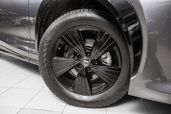 Lexus RZ450e 18 of 19