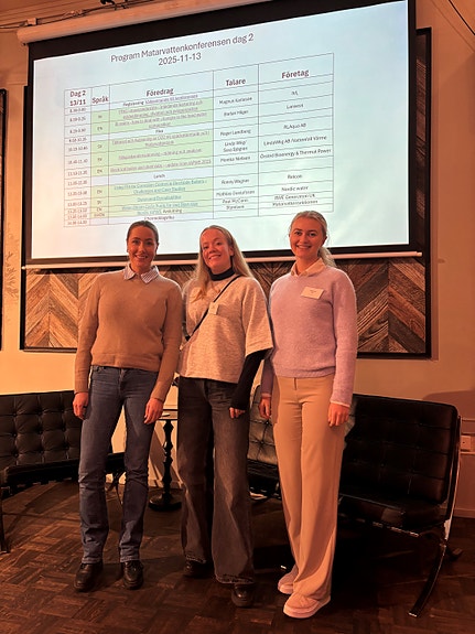 Bilde 4 av 4 i jobbannonse-galleriet