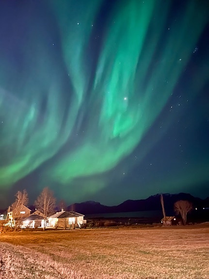 Nordlys i grønne bølger over et lite boligområde med hus og åpent landskap. Fjell og vann skimtes i bakgrunnen. Bilde tatt av en ansatt.